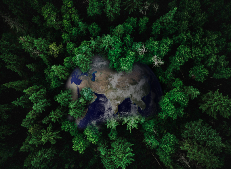 �������ǲ���(�й���)�ٷ���վ