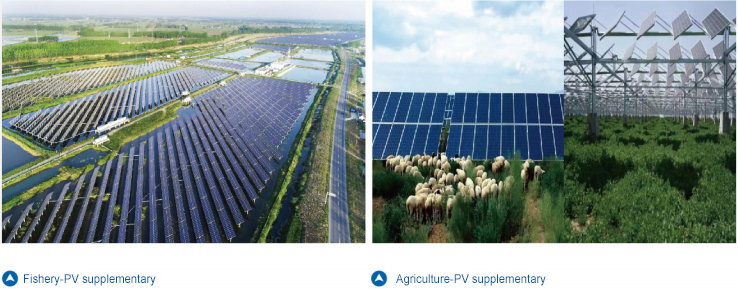 �������ǲ���(�й���)�ٷ���վ